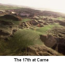 picture of irish golf course